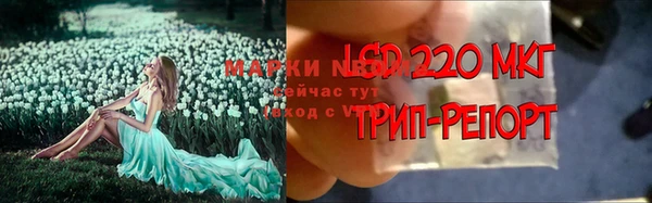 apvp Няндома