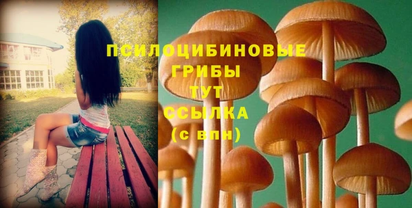 ALPHA PVP Осташков