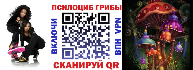 hydra tor  где найти   Майский  Галлюциногенные грибы Psilocybine cubensis 