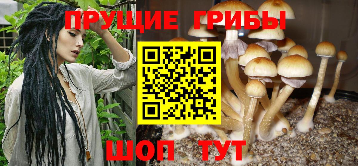 Галлюциногенные грибы Cubensis  Вход с VPN  Майский  Псилоцибиновые грибы мухоморы 